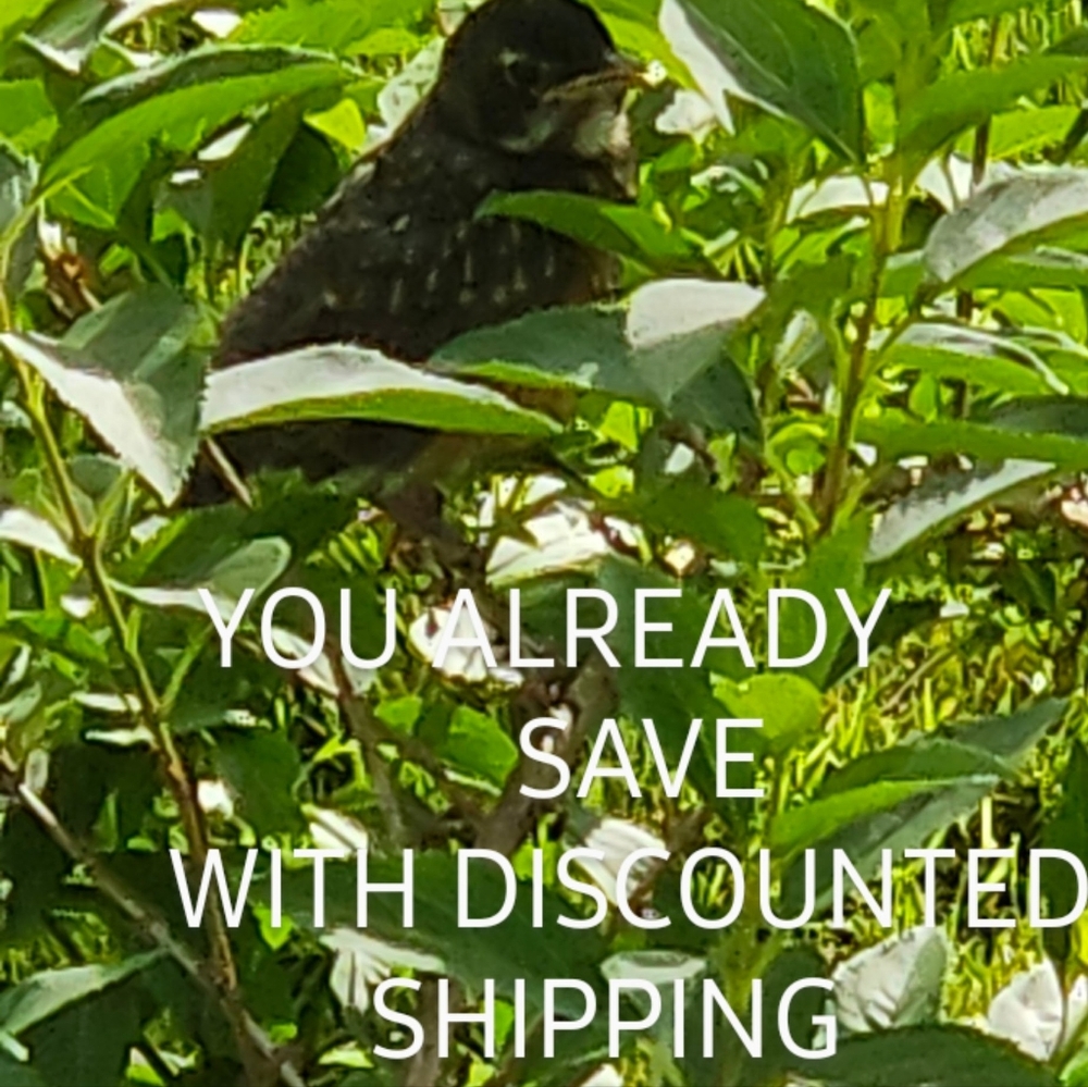 DISCOUNTED SHIPPING